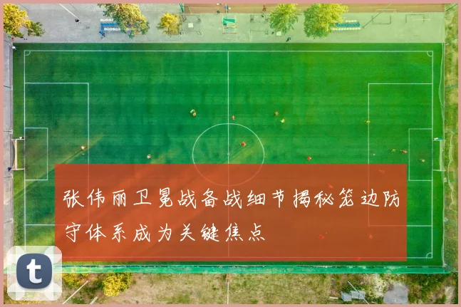 张伟丽卫冕战备战细节揭秘笼边防守体系成为关键焦点