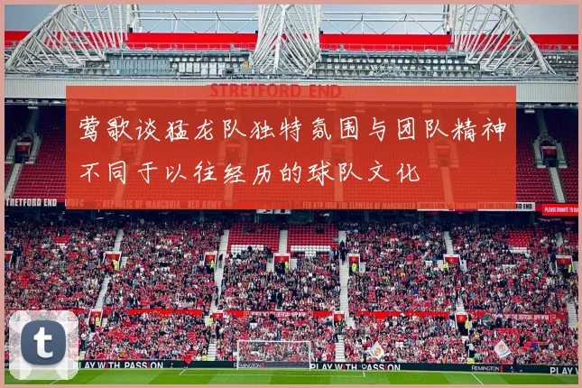 莺歌谈猛龙队独特氛围与团队精神不同于以往经历的球队文化