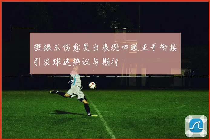 樊振东伤愈复出表现回暖正手衔接引发球迷热议与期待